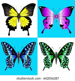 Butterfly set. Four insects in different execution. Vector illustration.