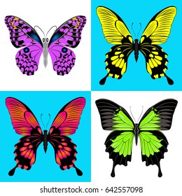 Butterfly set. Four insects in different execution. Vector illustration.