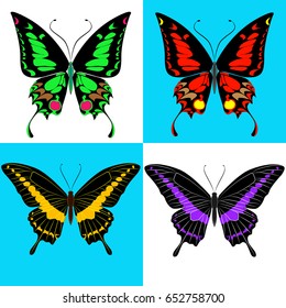 Butterfly set. Four insects in different execution. Vector illustration.