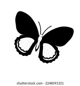 Butterfly set graphic black white isolated sketch illustration vector. Modern seamless pattern of monarch butterfly contours on white background for decoration design. Closeup design element.