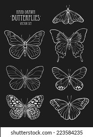 Butterfly set / hand drawn vector set