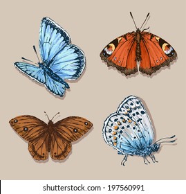 Butterfly set. Insect sketch collection. Hand drawn