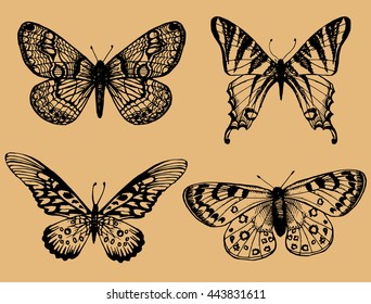 Butterfly set. Insect sketch collection for design and scrapbooking
