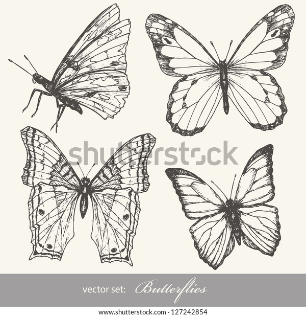 Butterfly set. Insect sketch collection for\
design and\
scrapbooking.