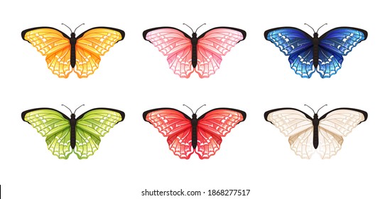 Schmetterling einzeln auf weißem Hintergrund. Vektorgrafik. Große Schmetterlinge-Kollektion. Farbenfroh. Verschiedene helle Farben. Realistisch. Schlichtes Cartoon-Design. Flacher Stil.