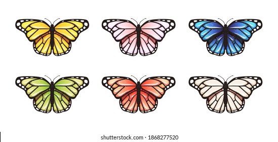 Butterfly set isolated on a white background. Vector illustration. Big butterflies collection. Colorful. Different bright colors. Realistic. Cute simple cartoon design. Flat style.