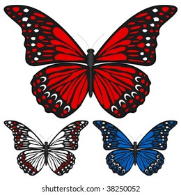 Butterfly set isolated on white background, Vector illustration.