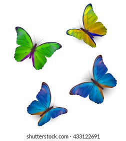 Butterfly Set Isolated on White Realistic Vector Illustration EPS10