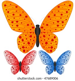 Butterfly set isolated on white background, Vector illustration.