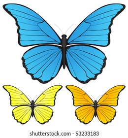 Butterfly set isolated on white background, Vector illustration.