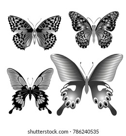 Butterfly set monochrome 2. Four insects in different execution. Vector illustration.