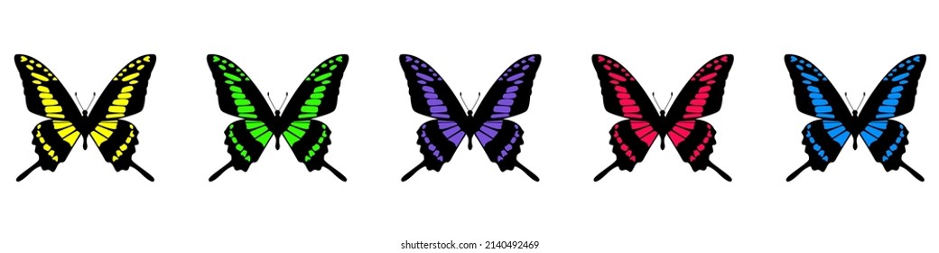 Butterfly set. Multicolored vector butterflies collection