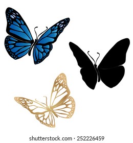 Butterfly set on white background. Abstract design. Vector illustration.