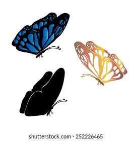 Butterfly set on white background. Abstract design. Vector illustration.