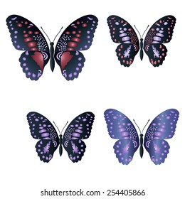 Butterfly set on white background. Abstract design. Vector illustration.