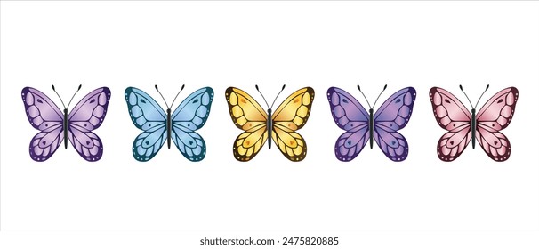 Conjunto mariposa sobre fondo