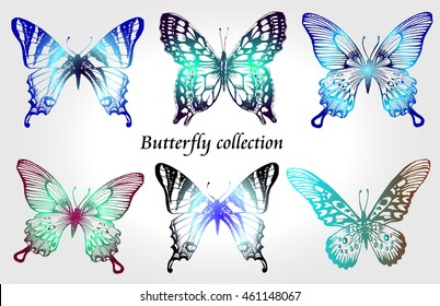 Butterfly set. butterfly sketch, butterfly collection, butterfly for design and scrapbooking, butterfly vector. butterfly hand drawn, butterfly illustration, butterfly silhouette, butterfly isolated