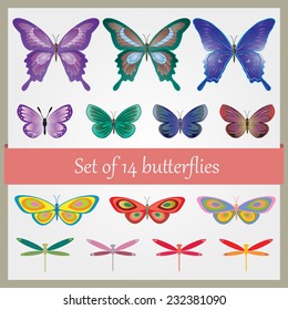 ?olorful butterfly set. Vector illustration