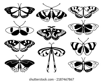 Butterfly set. Vector illustration of black and white butterflies