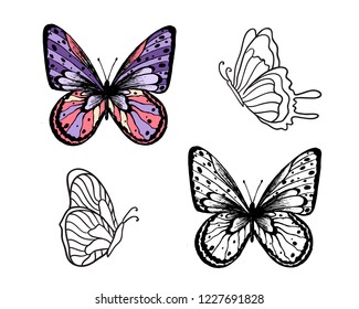 Butterfly Set. Vector illustration. Elegant butterfly logo for feminine business.