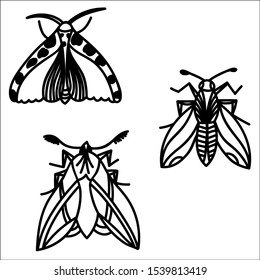 Butterfly set vector illustration isolated on white background.