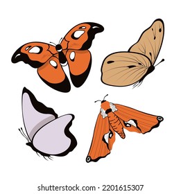 Butterfly set vector illustration on white background. Isolated cartoon icon decorative insect. Vector collection concept.