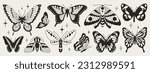 Butterfly seventh set of black and white wings in the style of wavy lines and organic shapes. Y2k aesthetic, tattoo silhouette, hand drawn stickers. Vector graphic in trendy retro 2000s style.