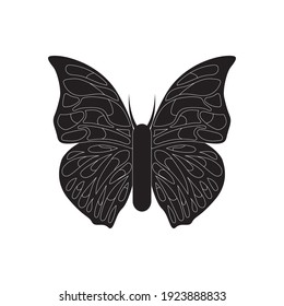 Butterfly Shadow Cartoon Black And White