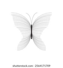 butterfly shape, butterfly line art, illustrator vector.