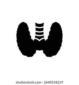 Butterfly shaped thyroid gland with labeled left and right lobes
