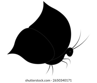 Butterfly. Side view. Crawl. Silhouette. Vector illustration. Garden insect with wings, antennae and legs. Cartoon style. Isolated white background. Idea for web design.