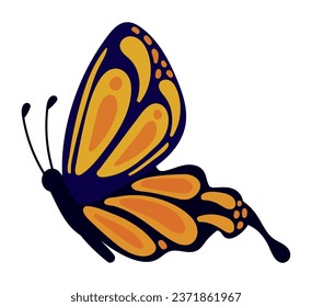 butterfly side view illustration isolated