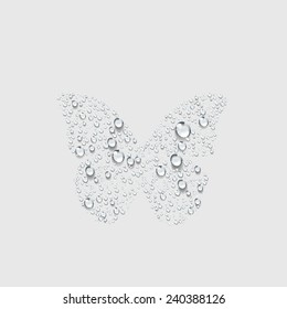 butterfly sign icon, Transparent water vector ,Butterfly logo design template. Branding element with modern effect for company, insect