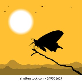 butterfly silhouette