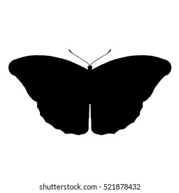 Butterfly Silhouette