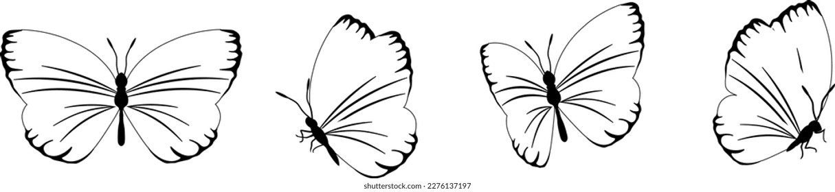 Butterfly silhouette in 4 options vector in isolated background