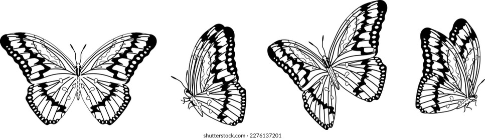 Butterfly silhouette in 4 options vector in isolated background