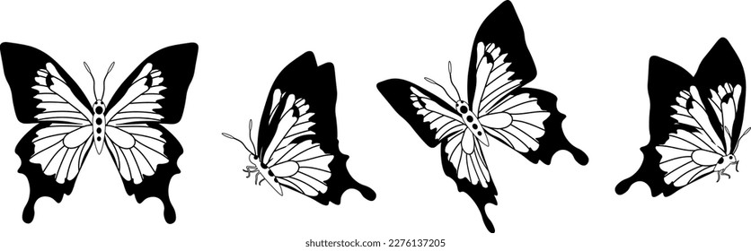 Butterfly silhouette in 4 options vector in isolated background