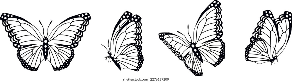 Butterfly silhouette in 4 options vector in isolated background