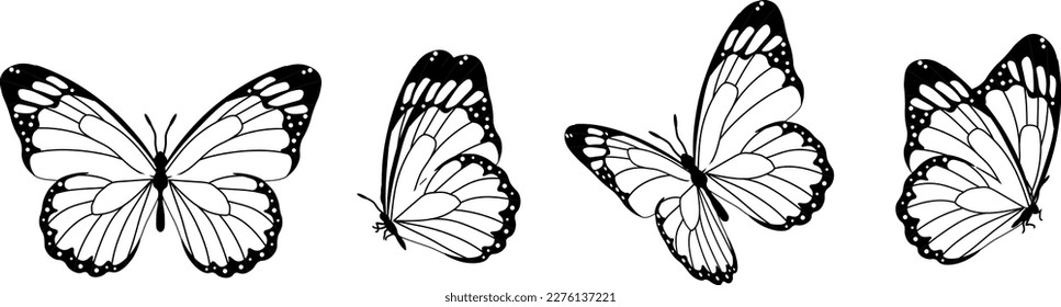 Butterfly silhouette in 4 options vector in isolated background