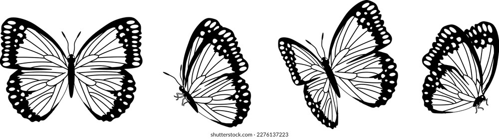 Butterfly-Silhouette auf 4 Optionen, Vektorgrafik auf isoliertem Hintergrund
