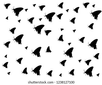 Butterfly silhouette background