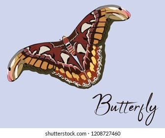 BUTTERFLY SILHOUETTE BACKGROUND VECTOR ILLUSTRATION  