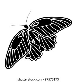 Butterfly Silhouette based on Papilio rumanzovia