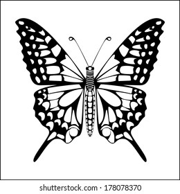 Butterfly silhouette black