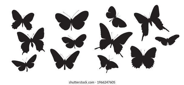 Butterfly silhouette. Black wings. Fly, isolated vector. Butterflies flat color collection. Butterfly swarm. 