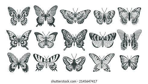 Butterfly Silhouette Cartoon Outline Insect Sketch Stock Vector ...