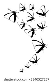 Butterfly silhouette. Clipart vector isolated on white background