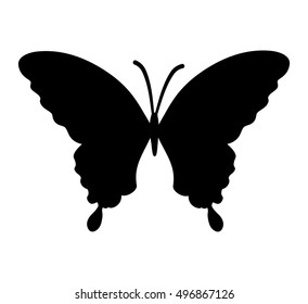 Butterfly silhouette decorative vector isolated on white.