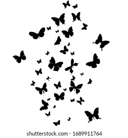 Butterfly silhouette fly, isolated vector